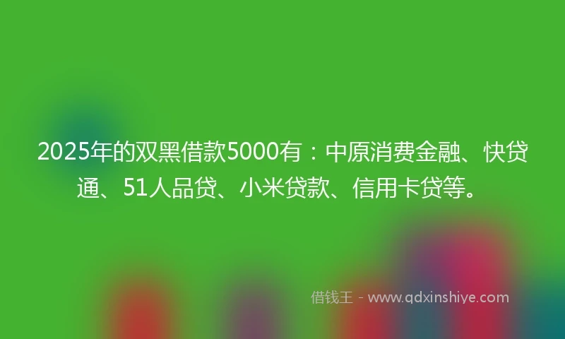 2025年的双黑借款5000有：中原消费金融、快贷通、51人品贷、小米贷款、信用卡贷等。