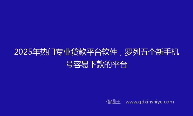 2025年热门专业贷款平台软件，罗列五个新手机号容易下款的平台