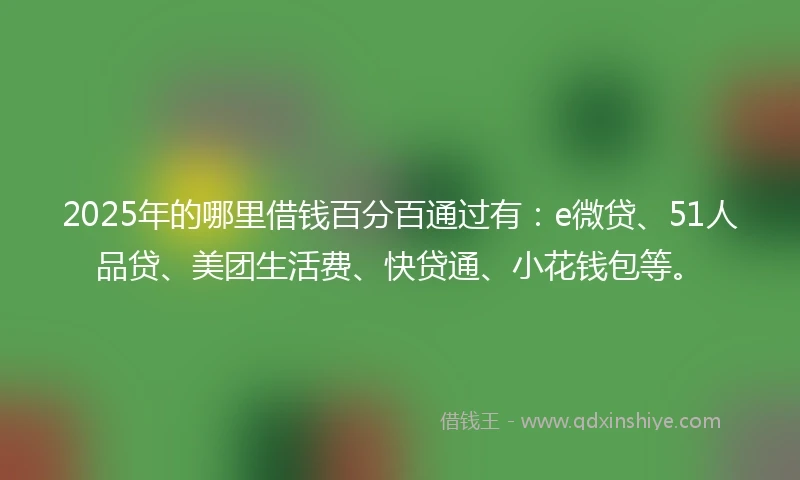 2025年的哪里借钱百分百通过有：e微贷、51人品贷、美团生活费、快贷通、小花钱包等。