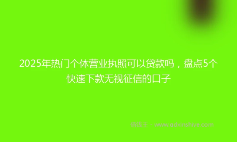 2025年热门个体营业执照可以贷款吗，盘点5个快速下款无视征信的口子