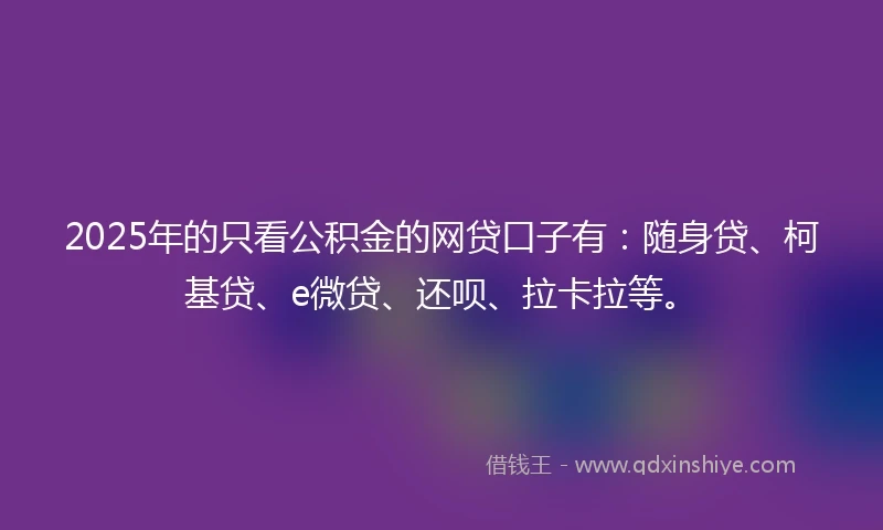 2025年的只看公积金的网贷口子有：随身贷、柯基贷、e微贷、还呗、拉卡拉等。