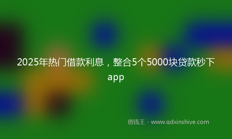 2025年热门借款利息,整合5个5000块贷款秒下app