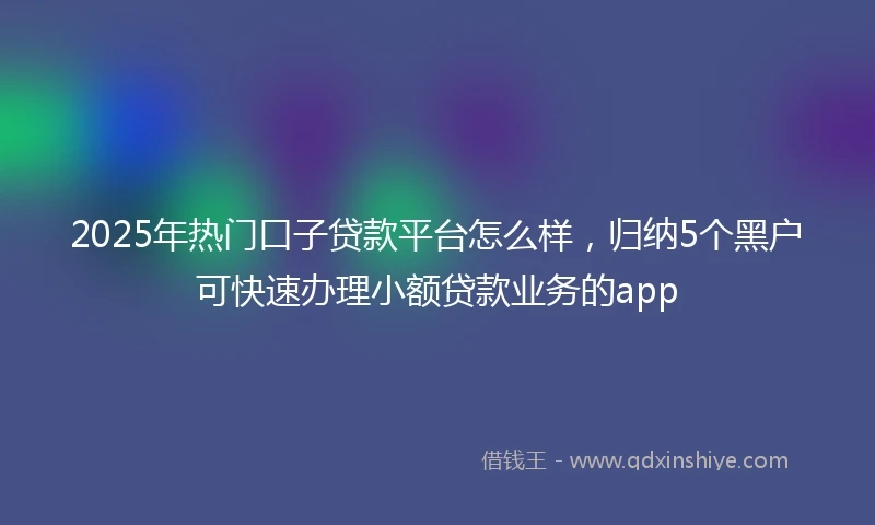 2025年热门口子贷款平台怎么样，归纳5个黑户可快速办理小额贷款业务的app