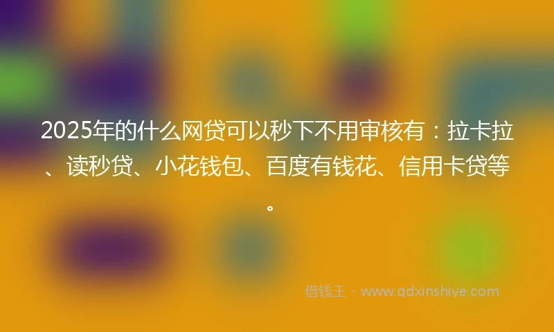 2025年的什么网贷可以秒下不用审核有：拉卡拉、读秒贷、小花钱包、百度有钱花、信用卡贷等。