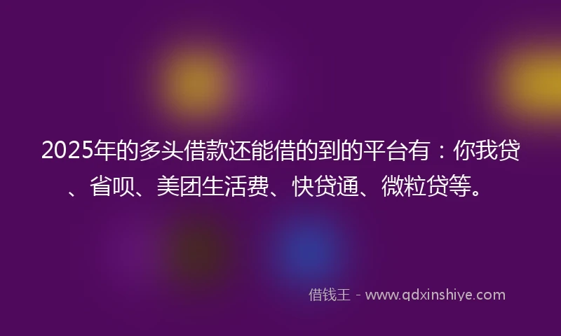 2025年的多头借款还能借的到的平台有：你我贷、省呗、美团生活费、快贷通、微粒贷等。