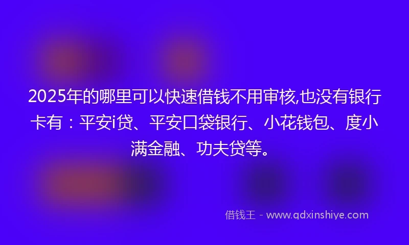 2025年的哪里可以快速借钱不用审核,也没有银行卡有：平安i贷、平安口袋银行、小花钱包、度小满金融、功夫贷等。