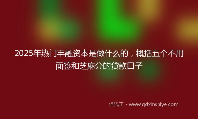 2025年热门丰融资本是做什么的,概括五个不用面签和芝麻分的贷款口子