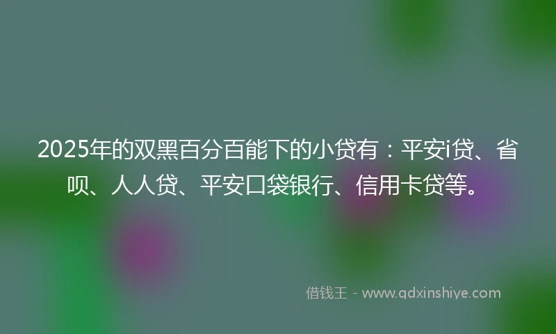 2025年的双黑百分百能下的小贷有：平安i贷、省呗、人人贷、平安口袋银行、信用卡贷等。