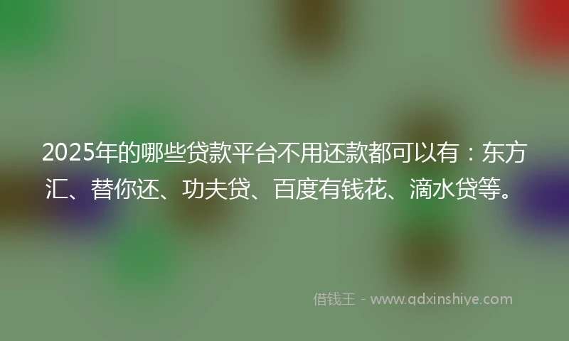 2025年的哪些贷款平台不用还款都可以有：东方汇、替你还、功夫贷、百度有钱花、滴水贷等。