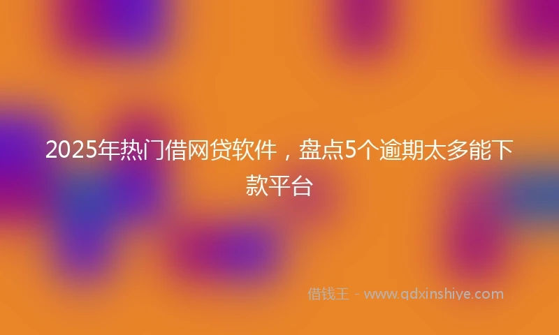 2025年热门借网贷软件，盘点5个逾期太多能下款平台