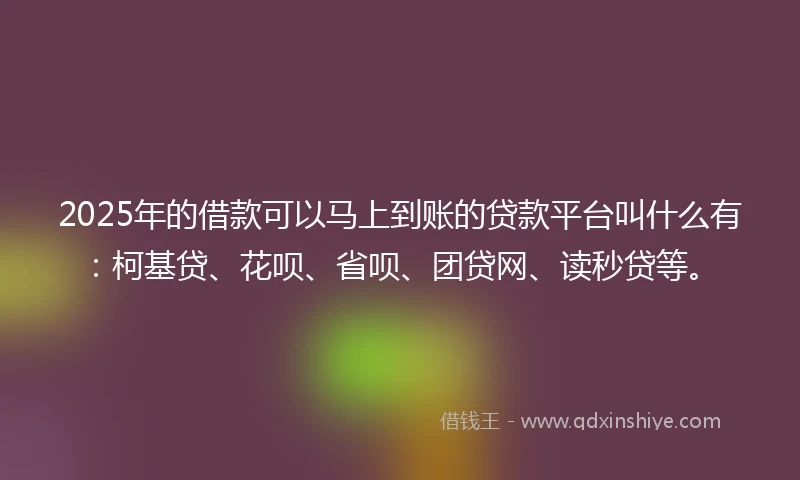 2025年的借款可以马上到账的贷款平台叫什么有：柯基贷、花呗、省呗、团贷网、读秒贷等。