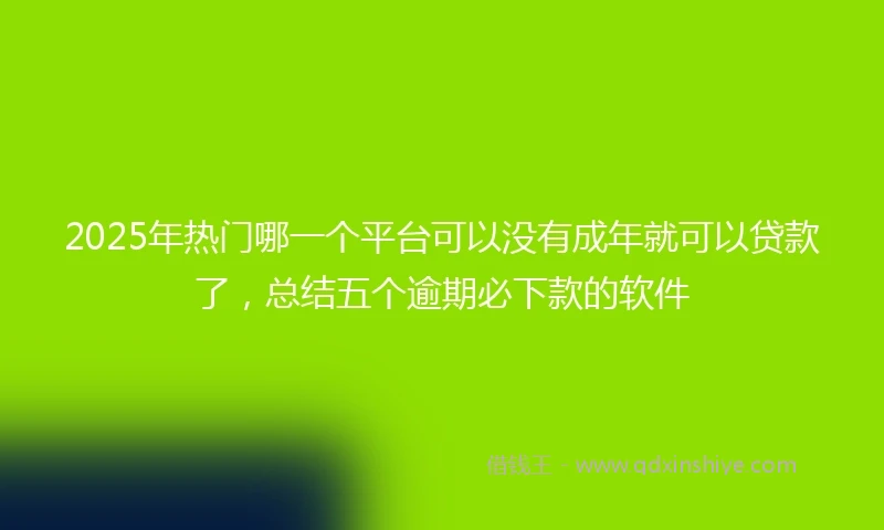 2025年热门哪一个平台可以没有成年就可以贷款了，总结五个逾期必下款的软件