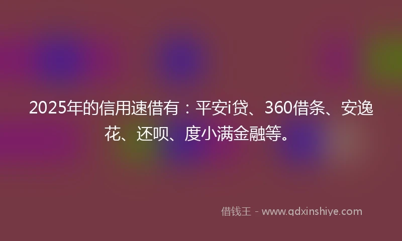 2025年的信用速借有：平安i贷、360借条、安逸花、还呗、度小满金融等。