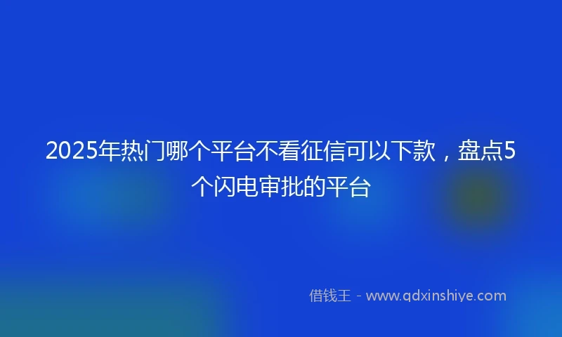 2025年热门哪个平台不看征信可以下款，盘点5个闪电审批的平台