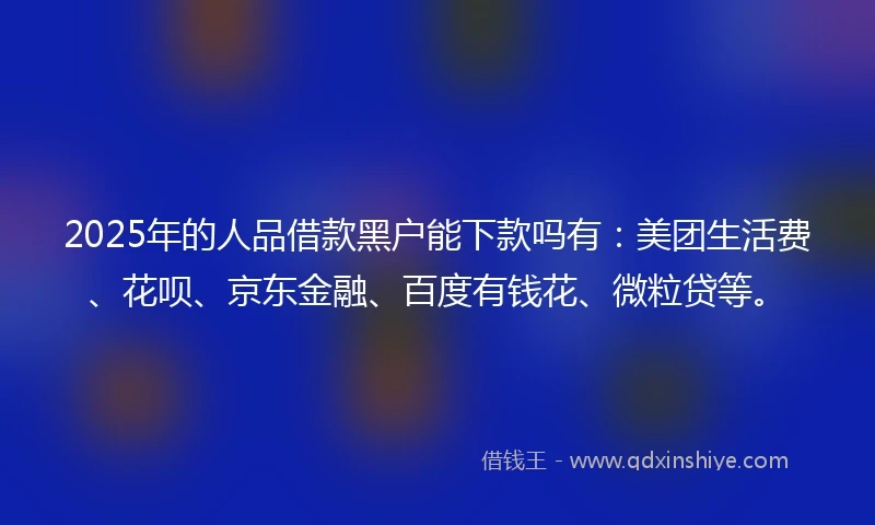 2025年的人品借款黑户能下款吗有：美团生活费、花呗、京东金融、百度有钱花、微粒贷等。