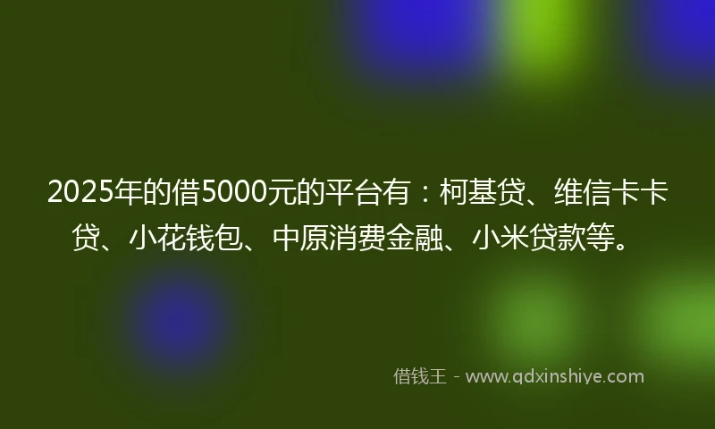 2025年的借5000元的平台有：柯基贷、维信卡卡贷、小花钱包、中原消费金融、小米贷款等。