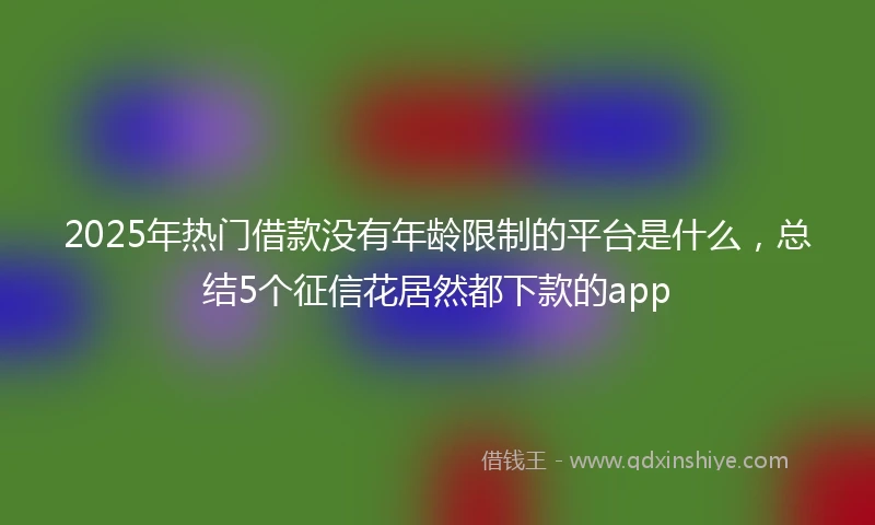 2025年热门借款没有年龄限制的平台是什么,总结5个征信花居然都下款的app