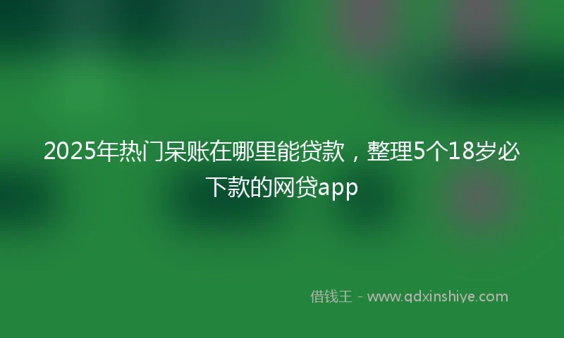 2025年热门呆账在哪里能贷款，整理5个18岁必下款的网贷app