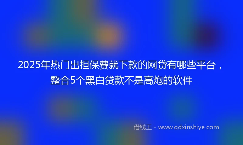 2025年热门出担保费就下款的网贷有哪些平台，整合5个黑白贷款不是高炮的软件