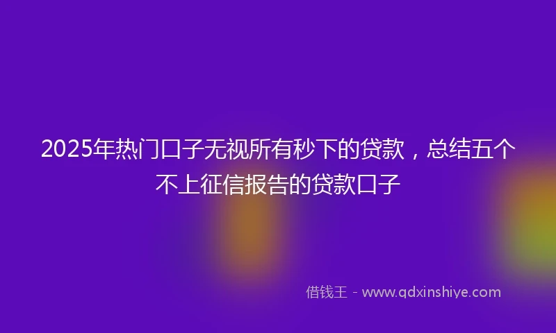 2025年热门口子无视所有秒下的贷款，总结五个不上征信报告的贷款口子