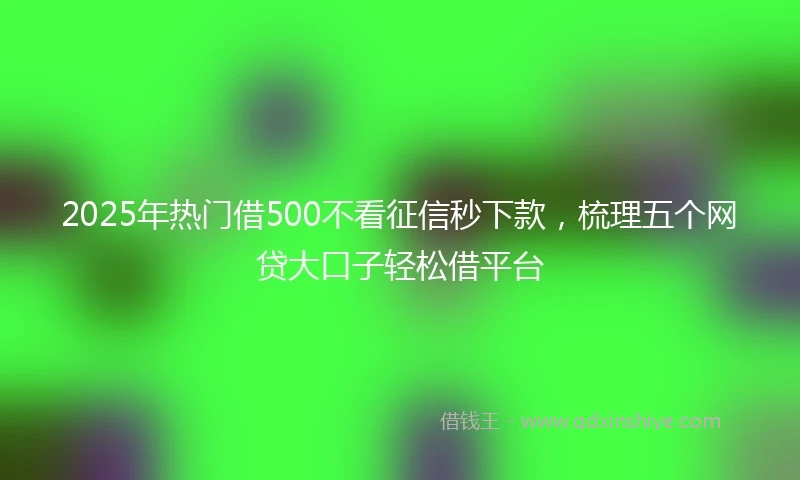2025年热门借500不看征信秒下款，梳理五个网贷大口子轻松借平台