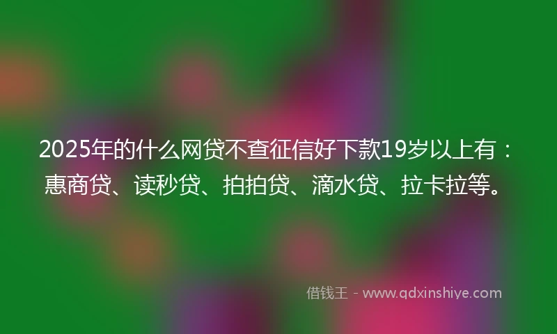 2025年的什么网贷不查征信好下款19岁以上有：惠商贷、读秒贷、拍拍贷、滴水贷、拉卡拉等。