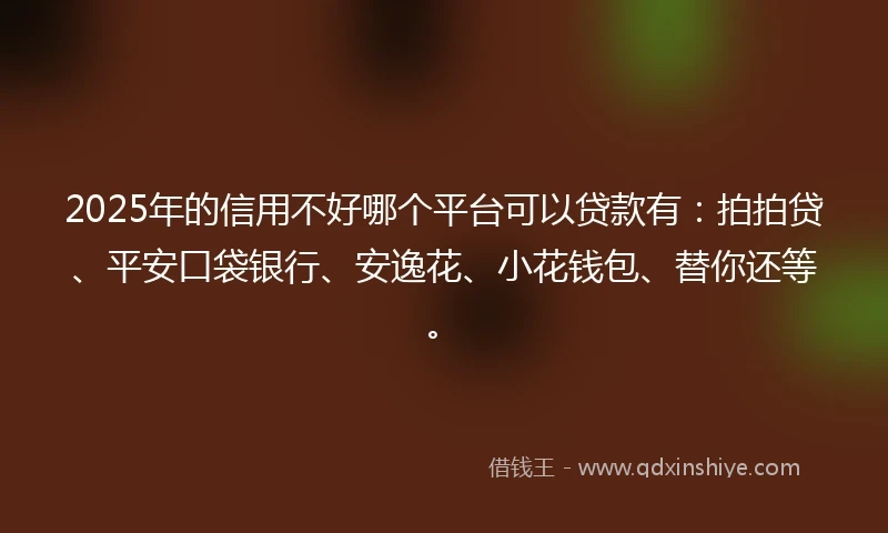 2025年的信用不好哪个平台可以贷款有：拍拍贷、平安口袋银行、安逸花、小花钱包、替你还等。