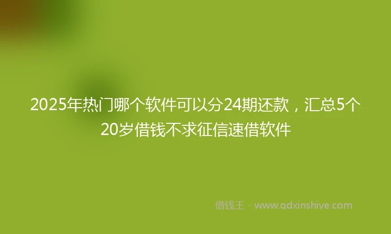 2025年热门哪个软件可以分24期还款，汇总5个20岁借钱不求征信速借软件