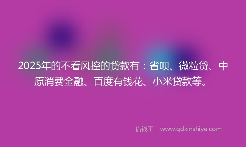 2025年的不看风控的贷款有:省呗、微粒贷、中原消费金融、百度有钱花、小米贷款等。