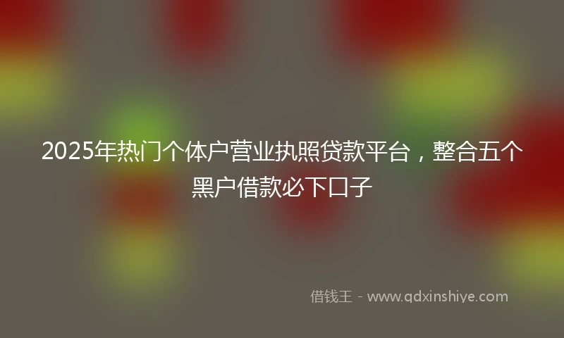 2025年热门个体户营业执照贷款平台，整合五个黑户借款必下口子