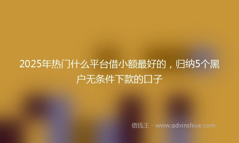 2025年热门什么平台借小额最好的，归纳5个黑户无条件下款的口子