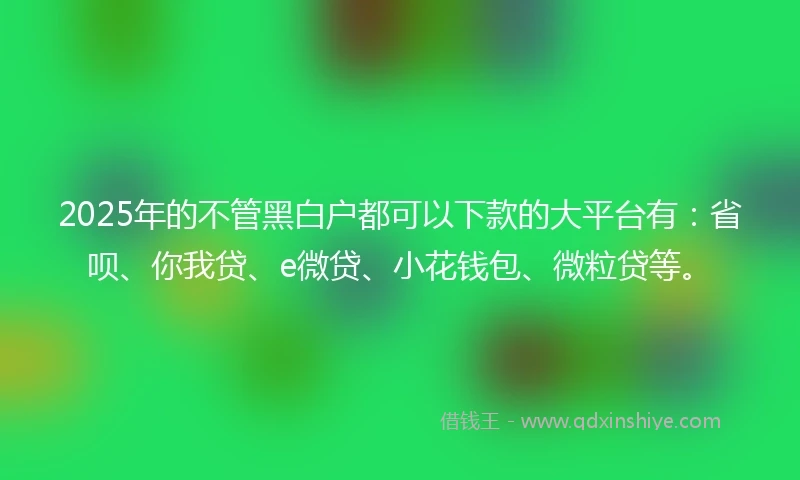 2025年的不管黑白户都可以下款的大平台有：省呗、你我贷、e微贷、小花钱包、微粒贷等。