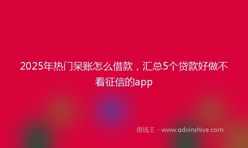 2025年热门呆账怎么借款，汇总5个贷款好做不看征信的app