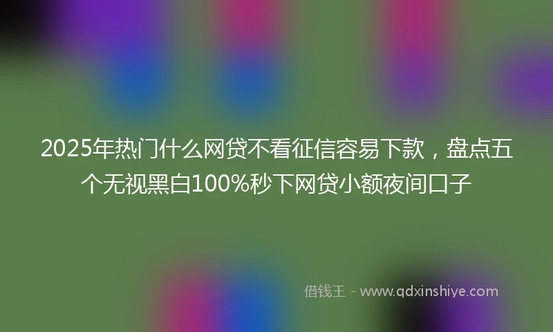 2025年热门什么网贷不看征信容易下款，盘点五个无视黑白100%秒下网贷小额夜间口子