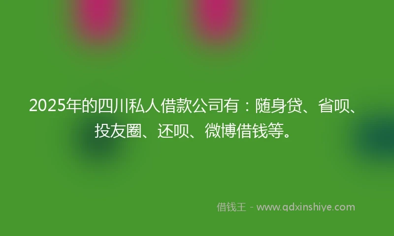 2025年的四川私人借款公司有：随身贷、省呗、投友圈、还呗、微博借钱等。