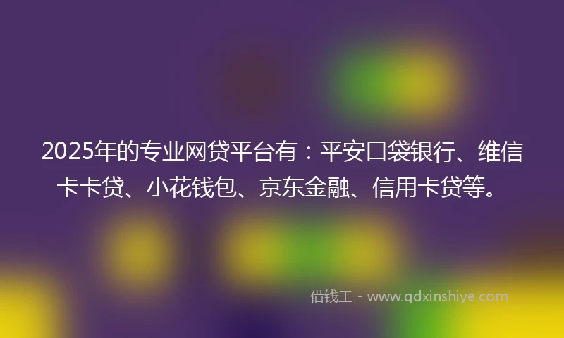 2025年的专业网贷平台有：平安口袋银行、维信卡卡贷、小花钱包、京东金融、信用卡贷等。