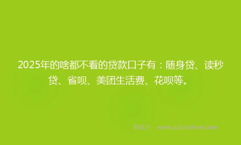 2025年的啥都不看的贷款口子有：随身贷、读秒贷、省呗、美团生活费、花呗等。