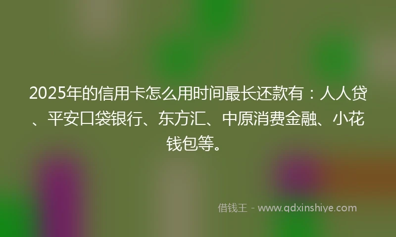 2025年的信用卡怎么用时间最长还款有:人人贷、平安口袋银行、东方汇、中原消费金融、小花钱包等。