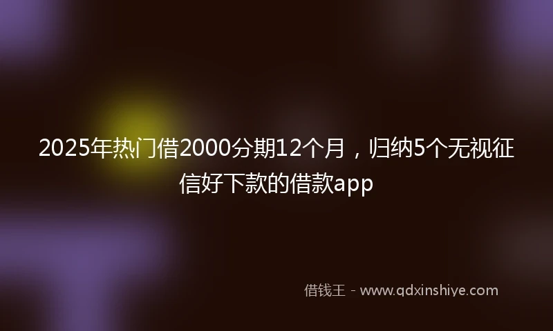 2025年热门借2000分期12个月,归纳5个无视征信好下款的借款app