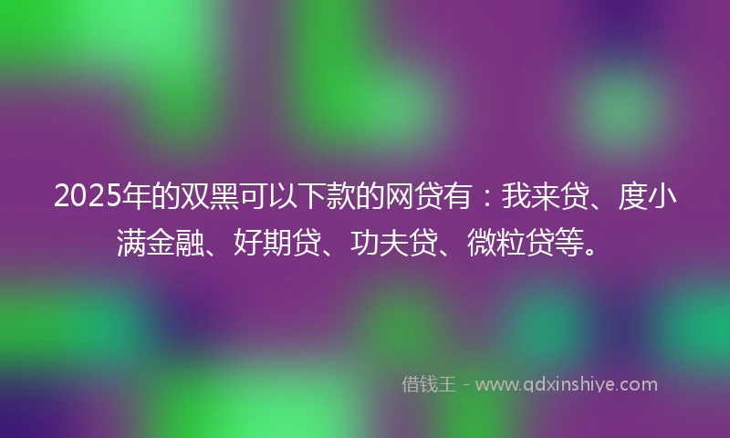 2025年的双黑可以下款的网贷有：我来贷、度小满金融、好期贷、功夫贷、微粒贷等。