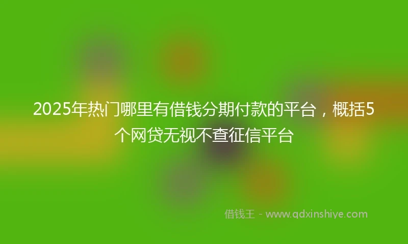 2025年热门哪里有借钱分期付款的平台，概括5个网贷无视不查征信平台