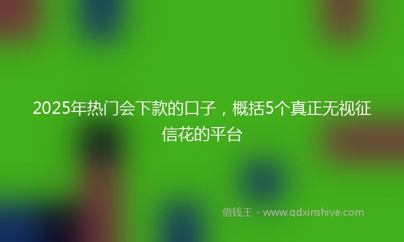 2025年热门会下款的口子，概括5个真正无视征信花的平台