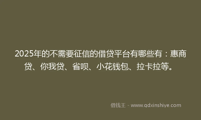 2025年的不需要征信的借贷平台有哪些有：惠商贷、你我贷、省呗、小花钱包、拉卡拉等。