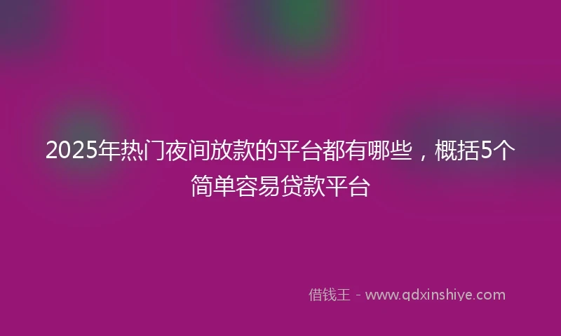 2025年热门夜间放款的平台都有哪些，概括5个简单容易贷款平台