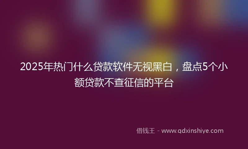 2025年热门什么贷款软件无视黑白，盘点5个小额贷款不查征信的平台