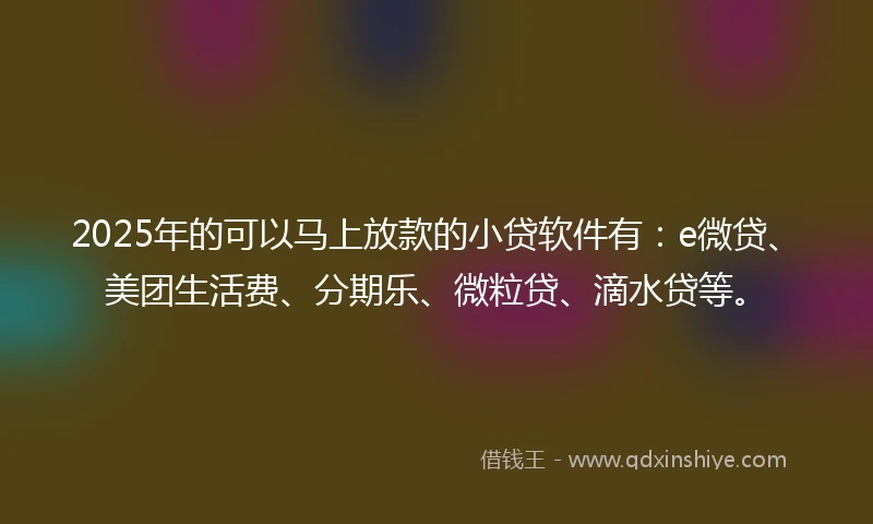 2025年的可以马上放款的小贷软件有：e微贷、美团生活费、分期乐、微粒贷、滴水贷等。