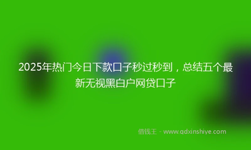 2025年热门今日下款口子秒过秒到，总结五个最新无视黑白户网贷口子