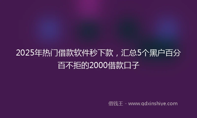 2025年热门借款软件秒下款，汇总5个黑户百分百不拒的2000借款口子