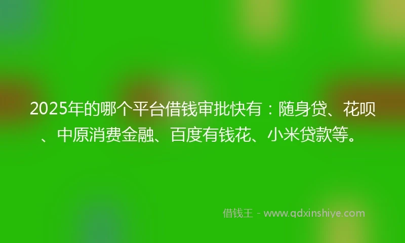 2025年的哪个平台借钱审批快有：随身贷、花呗、中原消费金融、百度有钱花、小米贷款等。
