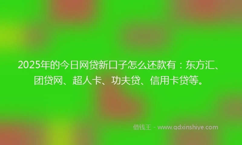 2025年的今日网贷新口子怎么还款有：东方汇、团贷网、超人卡、功夫贷、信用卡贷等。